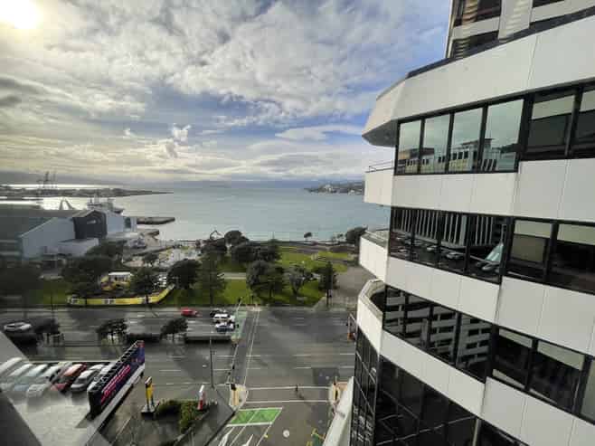 Full Floor on Willeston Street - 641sqm