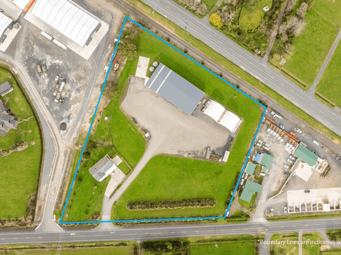 Rarer Than Rocking Horse