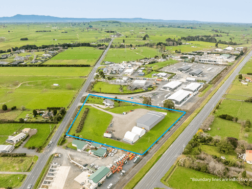 Rarer Than Rocking Horse