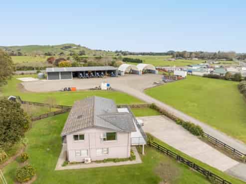 Rarer Than Rocking Horse