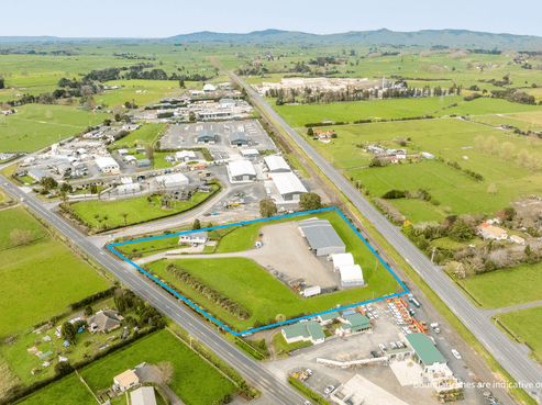 Rarer Than Rocking Horse