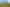 Waikato - Address withheld
