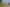 Waikato - Address withheld