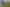 Waikato - Address withheld