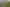 Waikato - Address withheld
