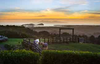 413C Busby Road, Katikati