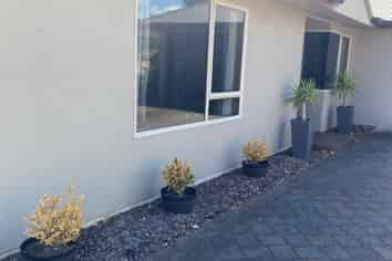 19 Lamia Grove, Papamoa