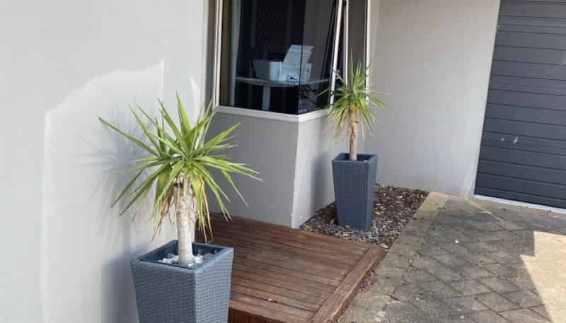 19 Lamia Grove, Papamoa