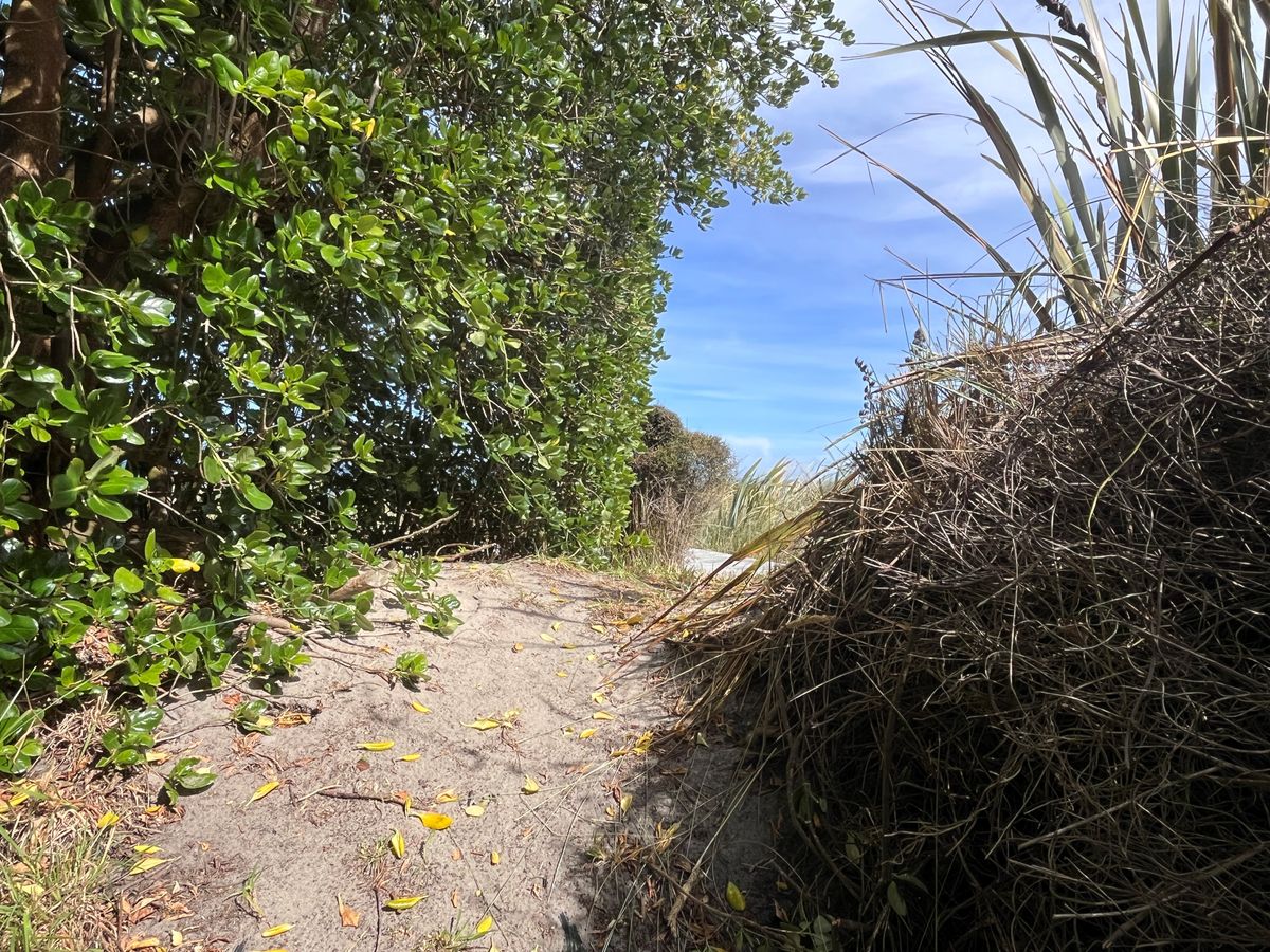 31 Toko Mouth Domain Road, Milton, Clutha, Otago - Photo 3