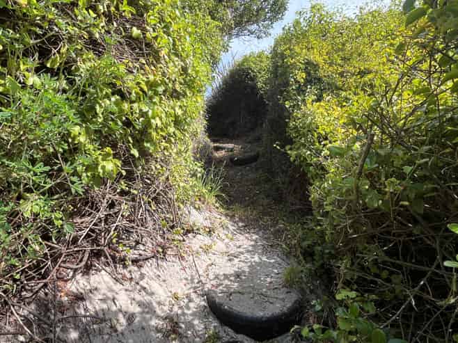 31 Toko Mouth Domain Road, Milton