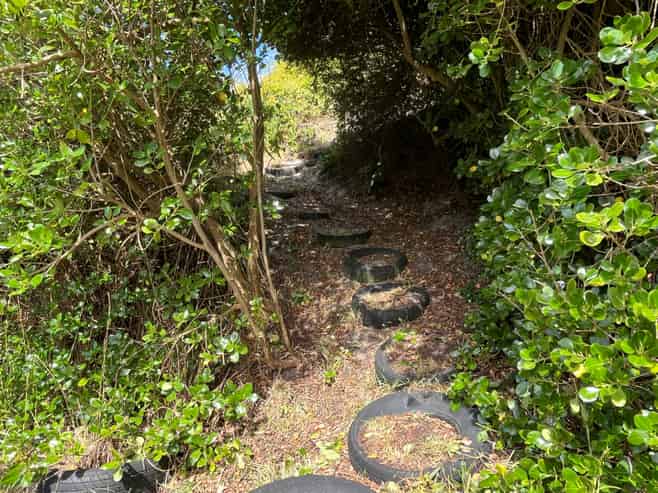 31 Toko Mouth Domain Road, Milton