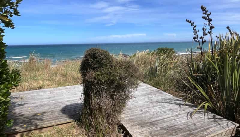 31 Toko Mouth Domain Road, Milton