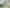 205 Hobson Street, Auckland Central