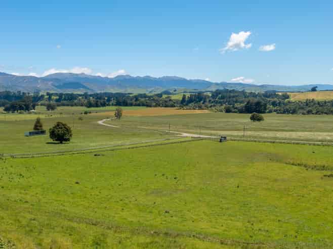 375 Snee Road, Takapau