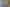 Auckland - Address withheld