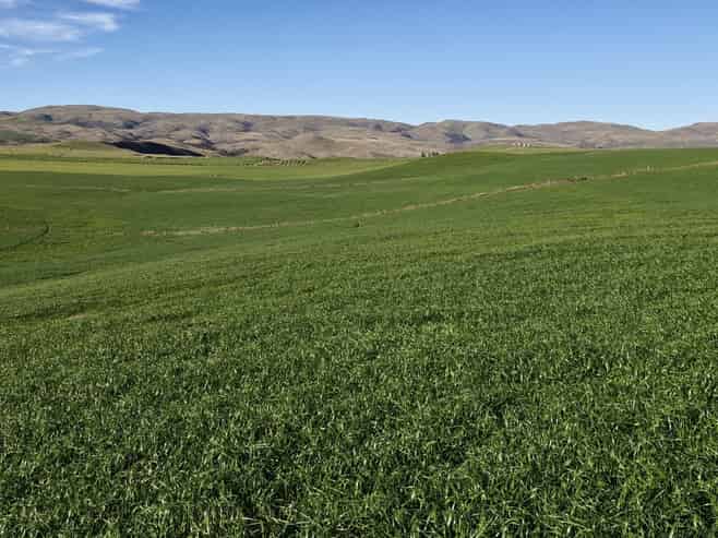 1883 Meyers Pass Road, Hakataramea Valley