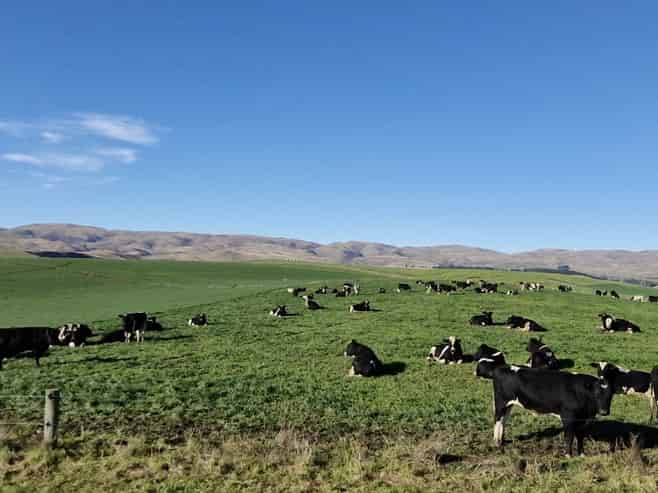 1883 Meyers Pass Road, Hakataramea Valley