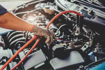 Thriving Automotive Workshop – Hibiscus Coast