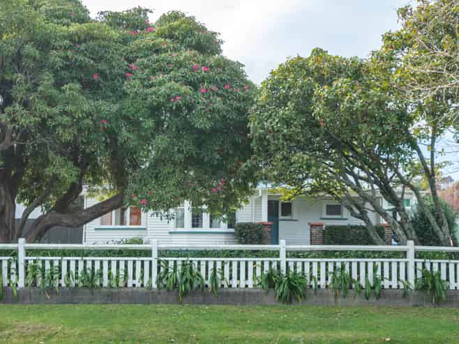 251  WHITAKER STREET, Whataupoko