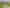 172 Kingsdale Park Drive, Aokautere