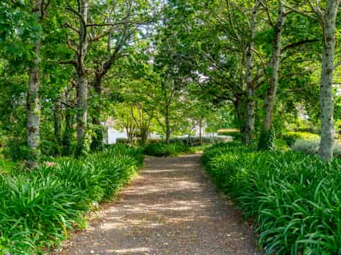 144 Loop Line, Opaki