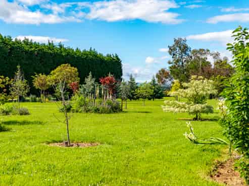 144 Loop Line, Opaki