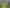 1558 Pyes Pa Road, Oropi