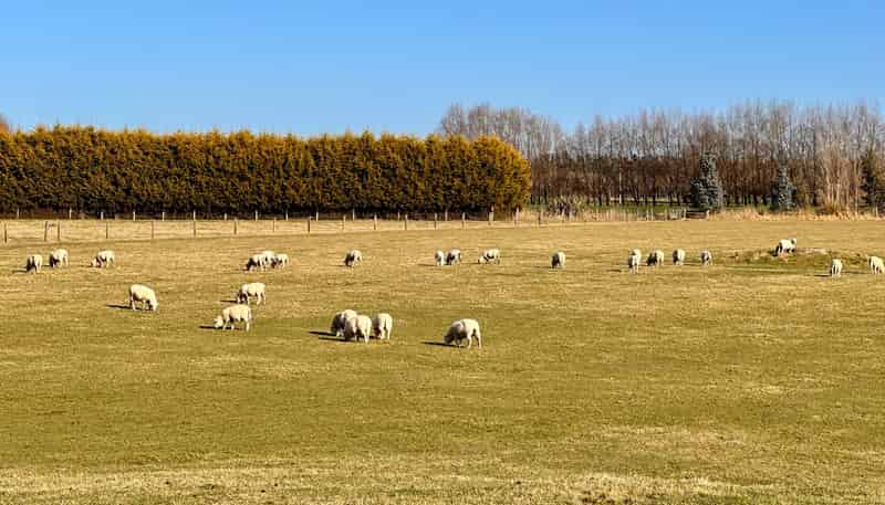 17 Counsell Road, MAKAREWA