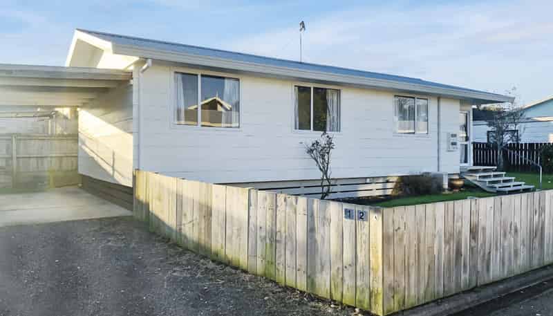 12A David Street, Morrinsville