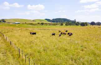 35 & 35A Cane Road, Waimauku