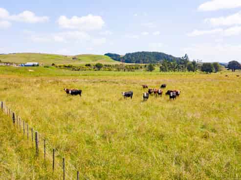 35 & 35A Cane Road, Waimauku