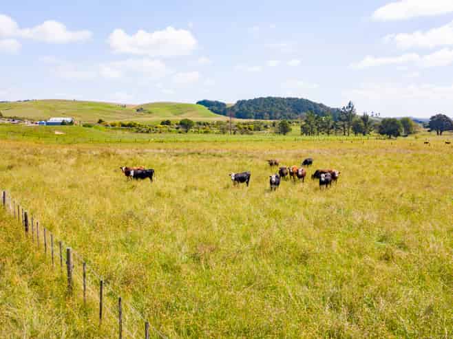 35 & 35A Cane Road, Waimauku