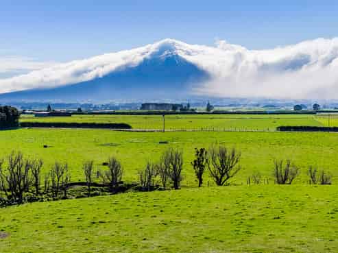 1541 South Road (SH 45), Manaia