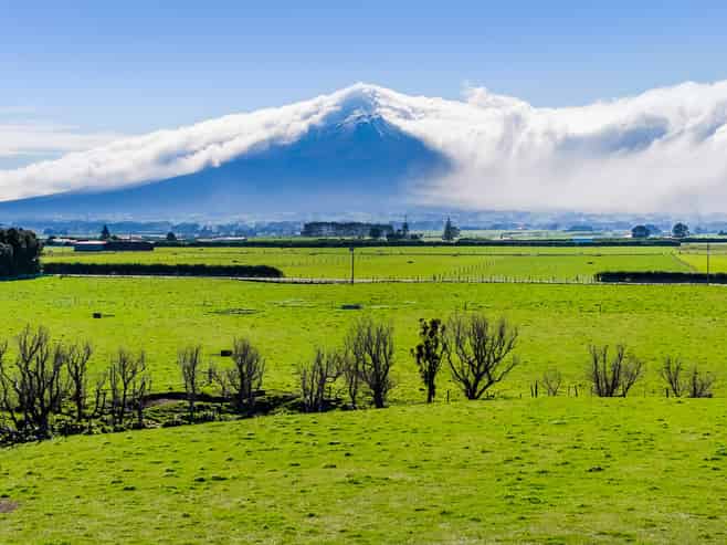 1541 South Road (SH 45), Manaia
