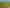 1541 South Road (SH 45), Manaia