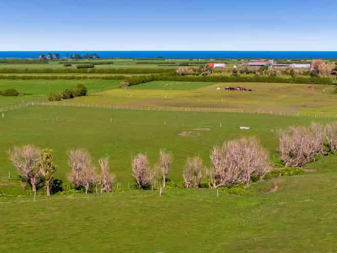 1541 South Road (SH 45), Manaia