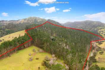 Lot 3 DP194797, Kaipara Flats