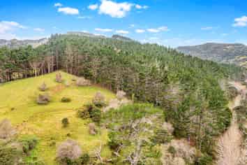 Lot 3 DP194797, Kaipara Flats