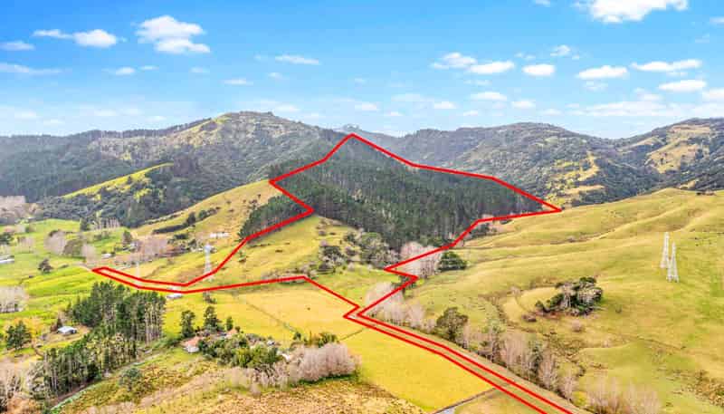 Lot 3 DP194797, Kaipara Flats