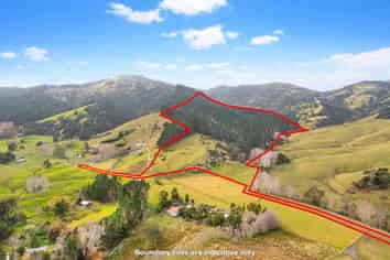 Lot 3 DP194797, Kaipara Flats