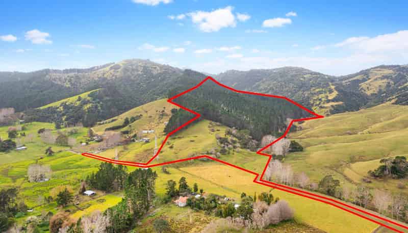 Lot 3 DP194797, Kaipara Flats