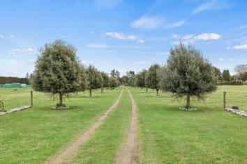 161 McKays Road, West Melton