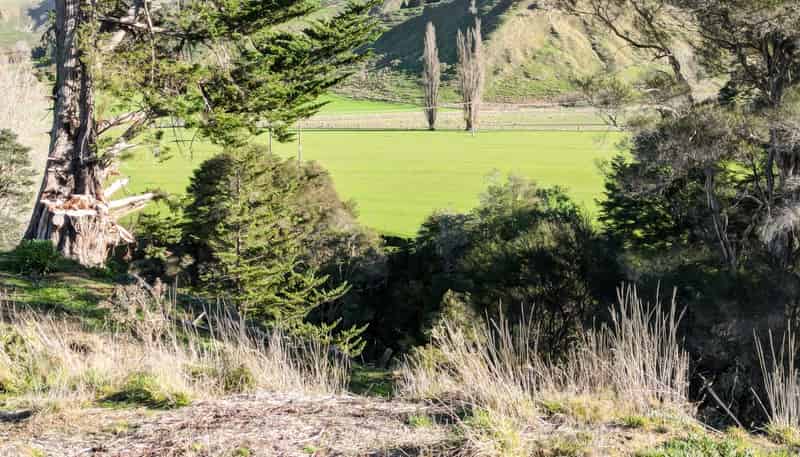 75 Otamoa Road, Whanganui
