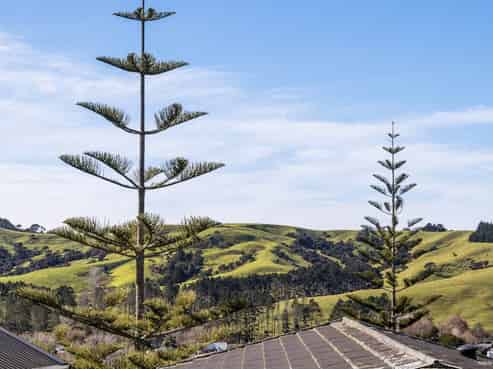 82B Garfield Road, Helensville