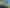 1275 Wyuna Bay Road, Wyuna, Coromandel