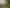 1275 Wyuna Bay Road, Wyuna, Coromandel