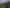 1275 Wyuna Bay Road, Wyuna, Coromandel