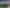 1275 Wyuna Bay Road, Wyuna, Coromandel