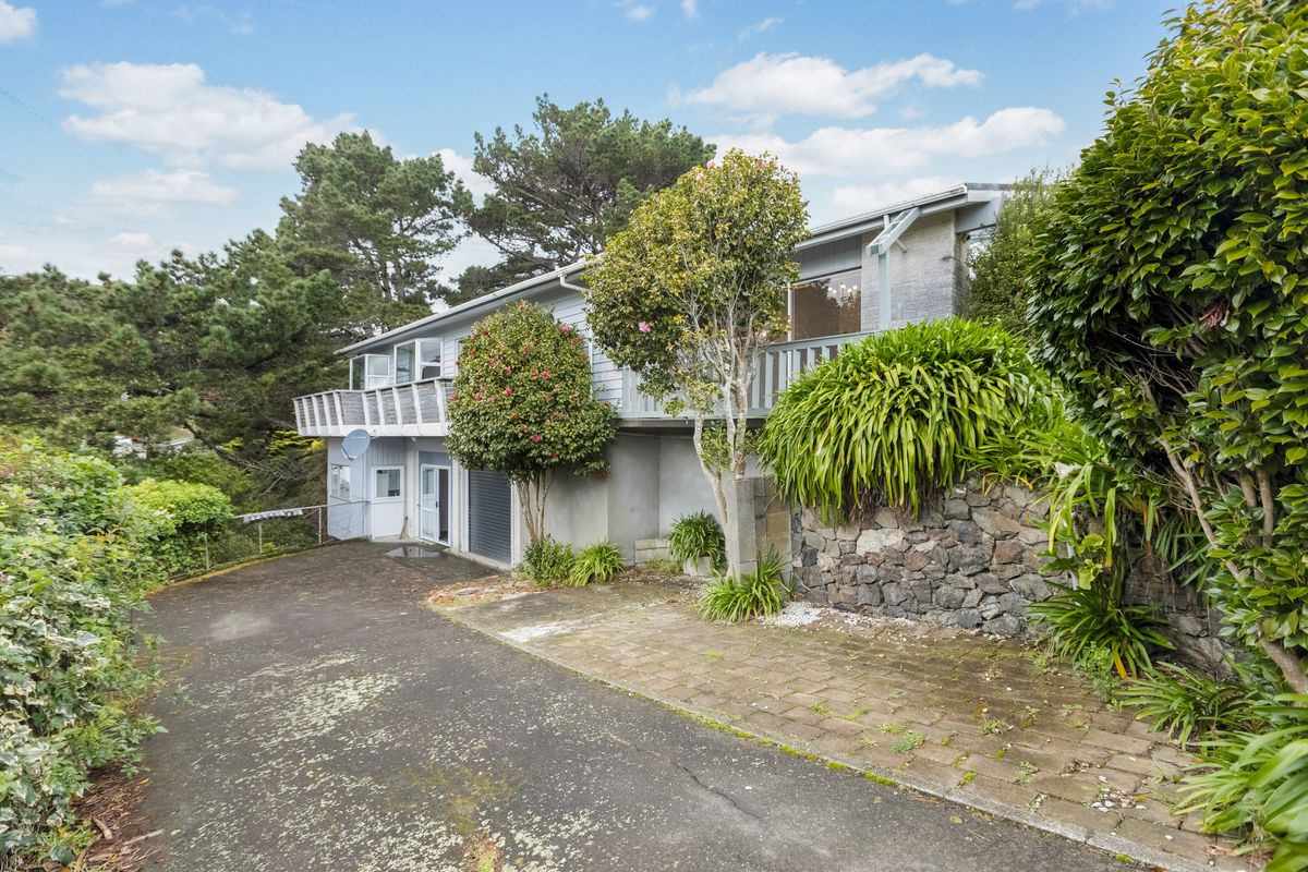 250SQM PAPARANGI FAMILY HOME - Ansicht 3