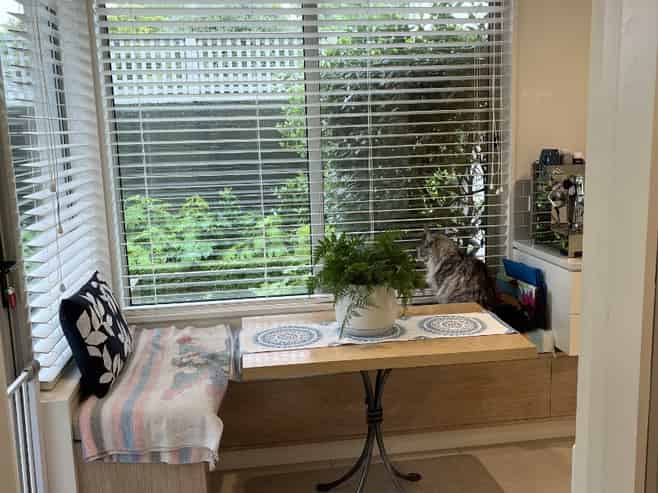 a/9 Beverley Street, Merivale